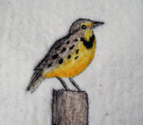 Shepherd Industries - Meadowlark Painting with Wool Needle Felting Kit