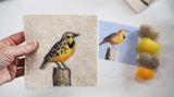 Shepherd Industries - Meadowlark Painting with Wool Needle Felting Kit