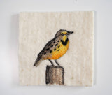 Shepherd Industries - Meadowlark Painting with Wool Needle Felting Kit