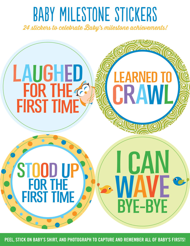 Baby Monthly Milestone Stickers