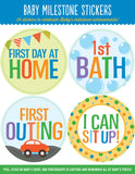 Baby Monthly Milestone Stickers