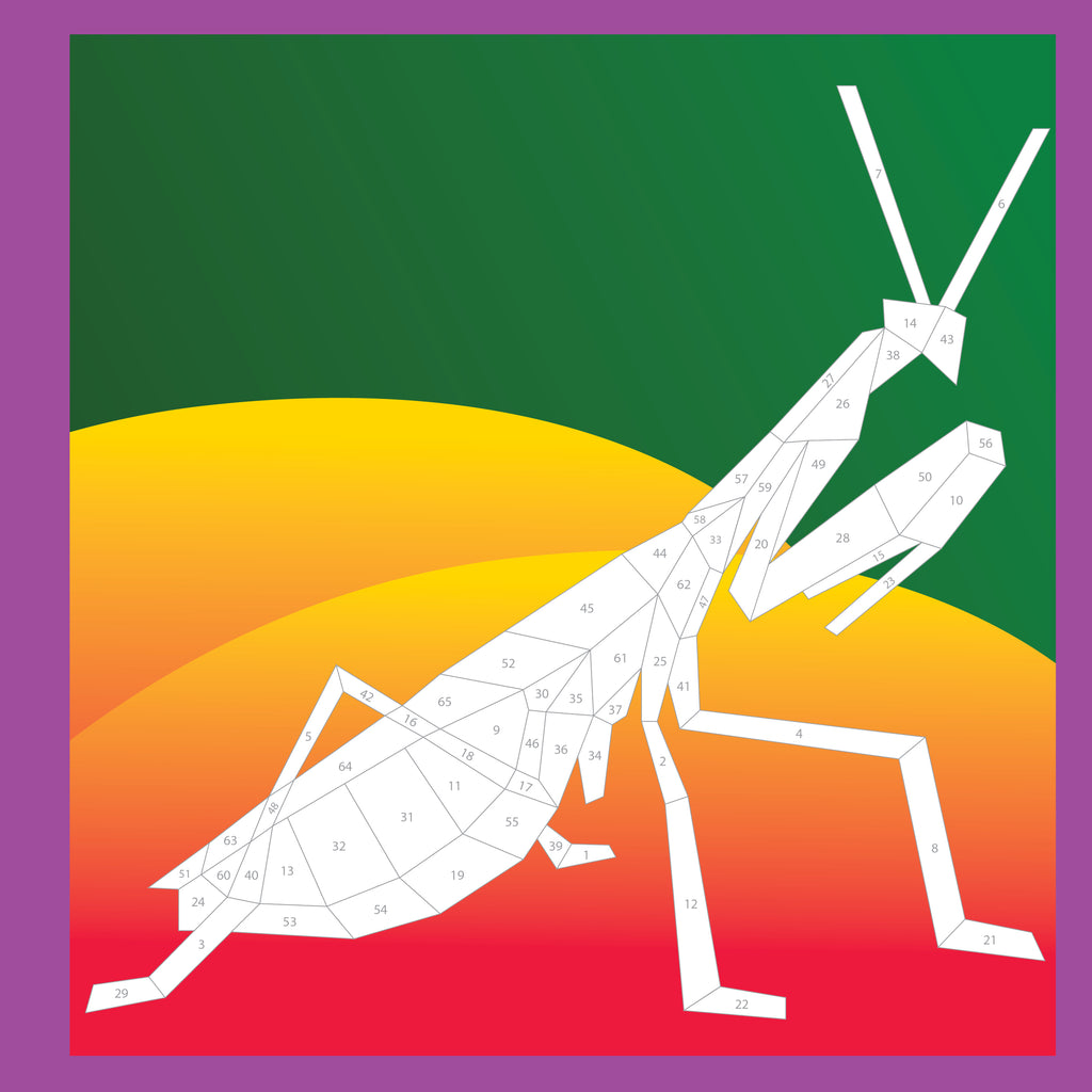 Paint By Sticker Beautiful Bugs Activity Book