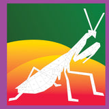Paint By Sticker Beautiful Bugs Activity Book