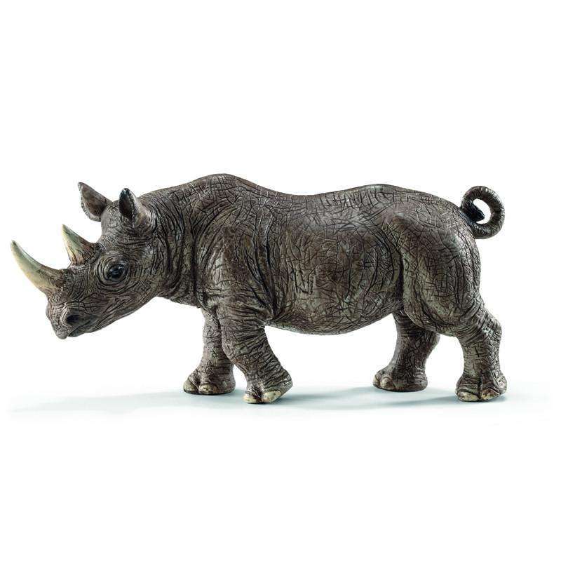 Rhinoceros