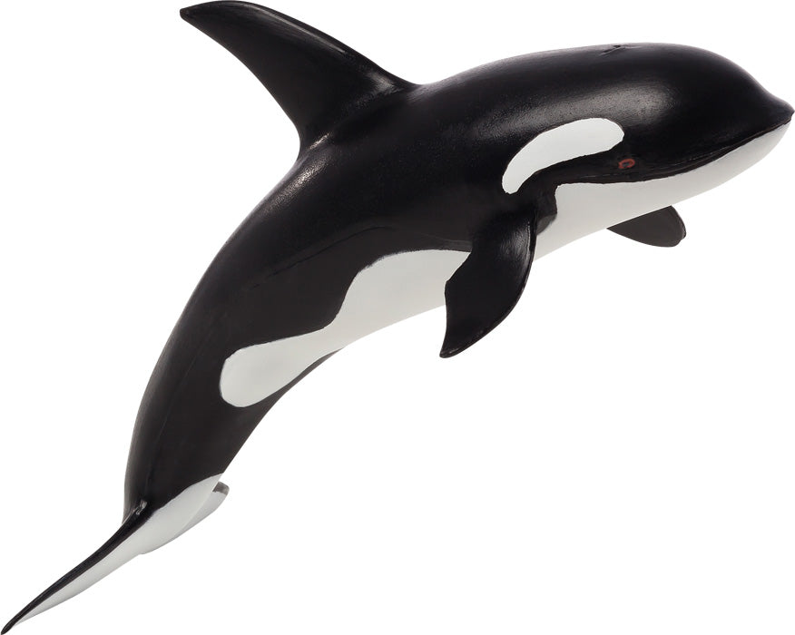 Large Orca, MOJO