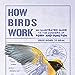 How Birds Work: An Illustrated Guide To The Wonders Of Form And Function - From Bones To Beak