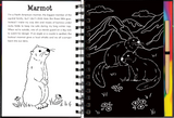 Peter Pauper Press - Llamas & Friends Scratch & Sketch™