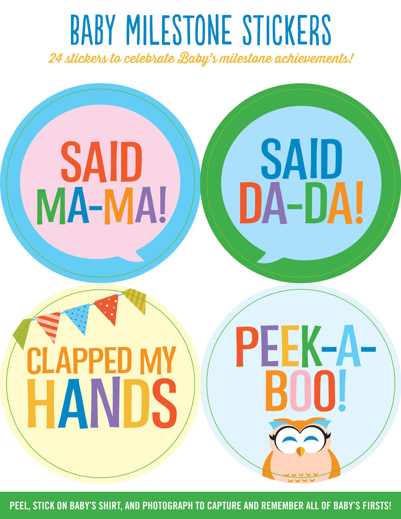 Baby Monthly Milestone Stickers