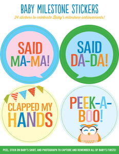 Baby Monthly Milestone Stickers