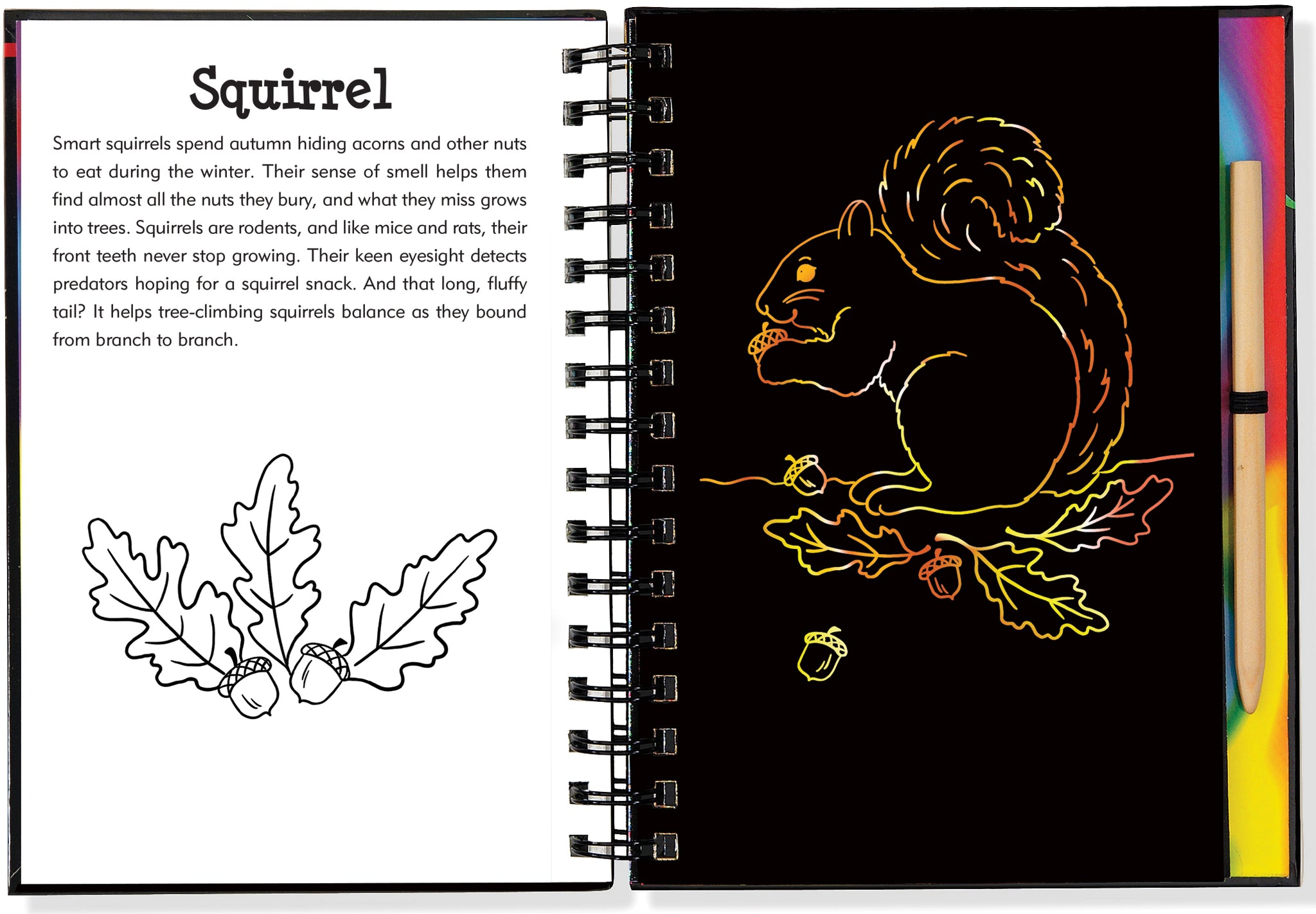 Scratch and Sketch Forest Friends An Art Activity Book