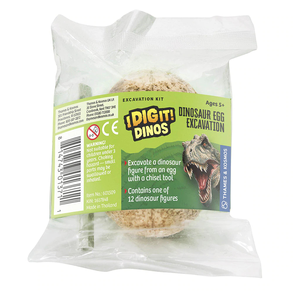I Dig It Dinos! Dino Eggs