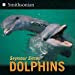 Dolphins (Smithsonian-science) Paperback – Illustrated, June 21, 2011 by Seymour Simon  (Author)