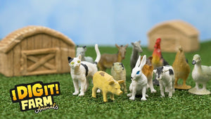 I Dig It! Farm Animals