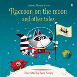 Raccoon On The Moon