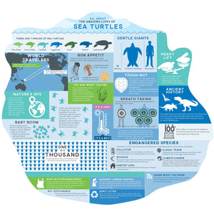 Sea Turtle Info Puzzle