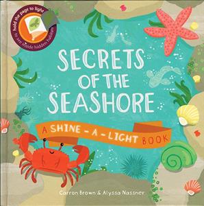 Secrets Of The Seashore, Shine A Light Book