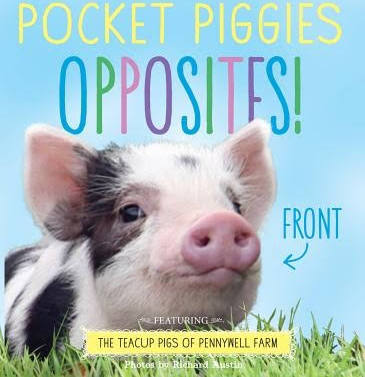 Pocket Piggies Opposite