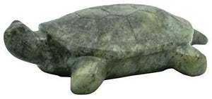 Studio Creative Turtle Carving Kit