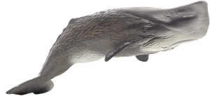 Sperm Whale, MOJO
